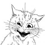 Drawings Of Cat Faces 7
