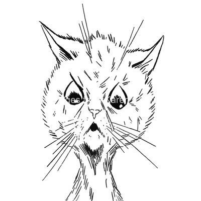 Drawings Of Cat Faces 1