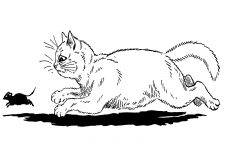 Clipart Of Cats 18
