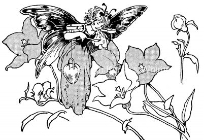 Fairy Pictures 3 - Fairy Scooping Nectar