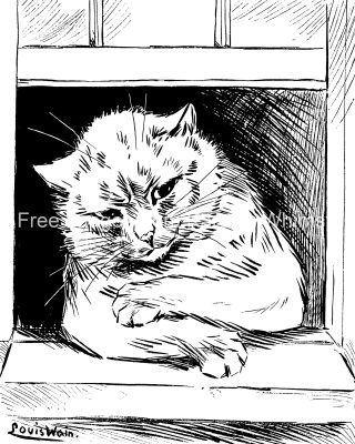 Cute Cat Drawings 8