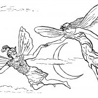 Fairies Illustrations