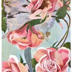 Flower Fairies 4 - Rose Blossom Fairy