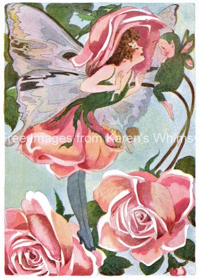 Flower Fairies 4 - Rose Blossom Fairy