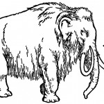 Prehistoric Animals 1 - Wooly Mammoth