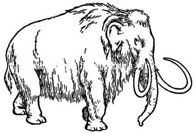 Prehistoric Animals 1 - Wooly Mammoth