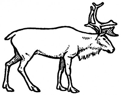 Prehistoric Animals 2 - Reindeer