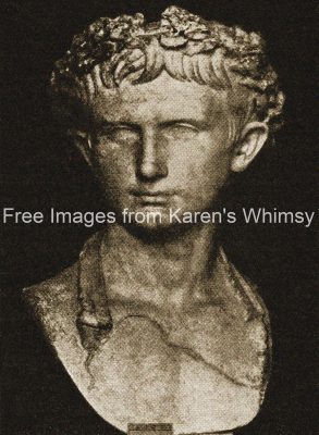 Roman Busts 4