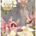 Beautiful Fairies 6 - Fairies Singing Beside Roses
