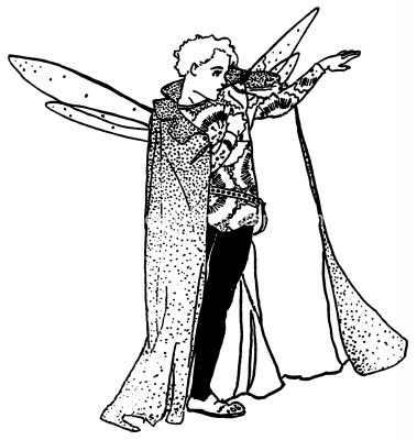 Faeries 5 - Boy Fairy Wearing Cape