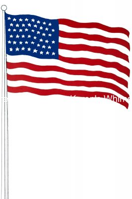 American Flag Picture 9