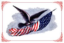 United States Flag Picture 5