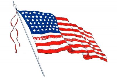 United States Flag Picture 1