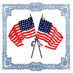 Pictures Of Us Flags 4