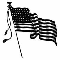 American Flag in Black and White