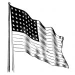 American Flag Black And White 9
