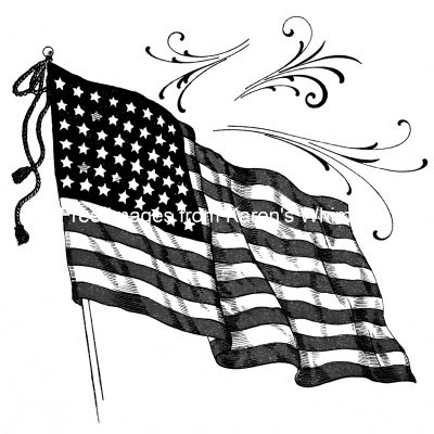 American Flag Black And White 6