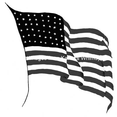 American Flag Black And White 7