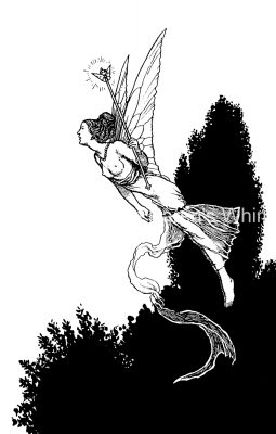 Drawings of Fairies 1 - Fairy in a Garden