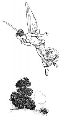 Drawings of Fairies 6 - A Floating Fairy