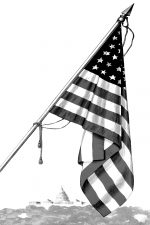 Us Flag In Black And White 8