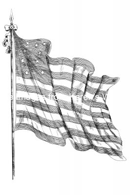 Us Flag In Black And White 3