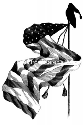 Us Flag In Black And White 6