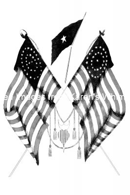 Us Flag In Black And White 7