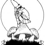 Gnome Pictures 8 - Gnome on a Toadstool