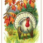 Thanksgiving Cards 5