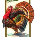 Thanksgiving Greetings 5 - A Colorful Turkey