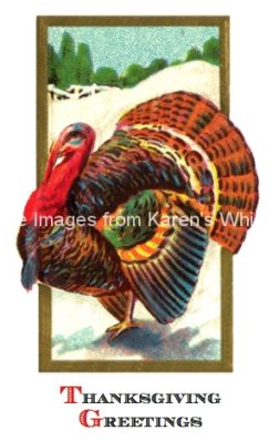 Thanksgiving Greetings 5 - A Colorful Turkey