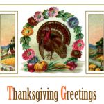 Free Thanksgiving Cards 2 - Turkey and Flowers
