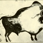 Cave Paintings 9 - Bison with Long Horns