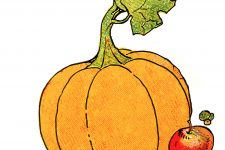 Pumpkin Clip Art 4 - Pumpkin and Apples