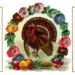 Thanksgiving Art 4 - Turkey and Flowers