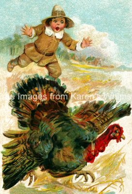 Thanksgiving Pics 6 - Runaway Turkey