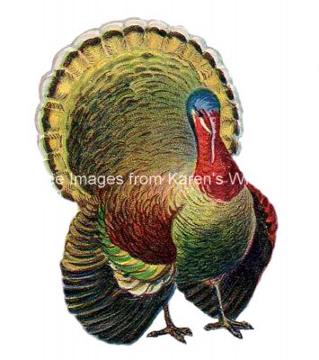 Turkey Clipart 4 - Brightly Colored Turkey