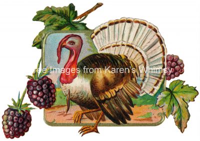 Free Turkey Clipart 1 - Turkey with Berries
