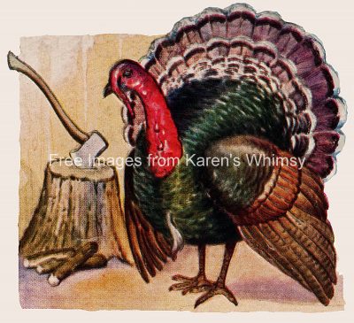 Thanksgiving Turkey 5 - Sad Turkey