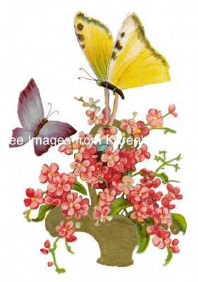 Drawings of Butterflies 3 - Basket of Pink Flowers with Two Butterflies