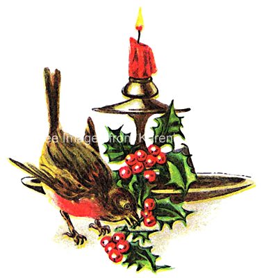 Christmas Pics 3 - Bird and Candle