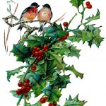 Christmas Birds 3 - Birds Together