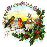 Christmas Birds 4 - Birds and House