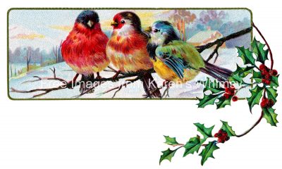 Christmas Birds 6 - Colorful Friends