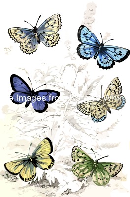 Butterfly Graphics 4 - Blue Butterflies