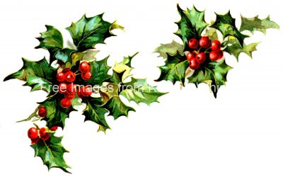 Holly Clip Art 6 - Two Sprigs of Holly