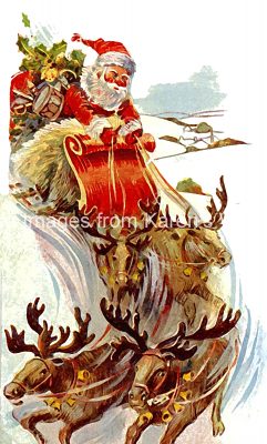 Reindeer Pictures 1 - Reindeer in a Hurry