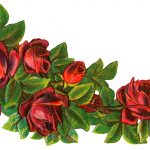 Valentine Roses 4 - Stream of Red Roses
