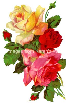 Valentine Roses 5 - Variety of Colors